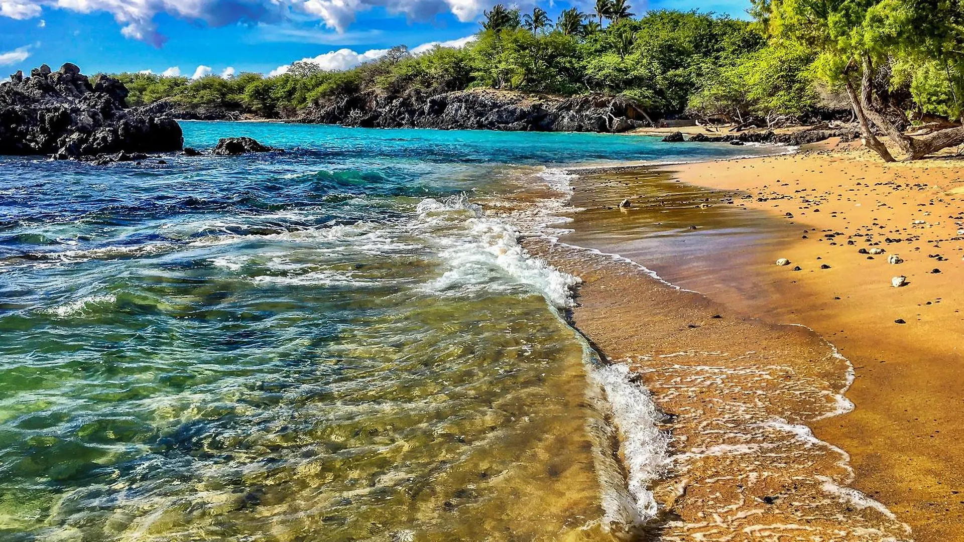 Kona Bali Kai #310 Διαμέρισμα Καϊλούα-Κόνα Ηνωμένες Πολιτείες της Αμερικής